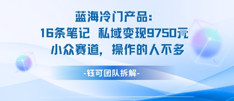 蓝海项目：16条笔记私域变现9750米小众赛道操作的人不多-linxinghc