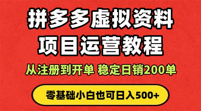 拼多多开店运营课程： 蓝海变现玩法，轻松实现睡后收入 零基础小白也可...-linxinghc