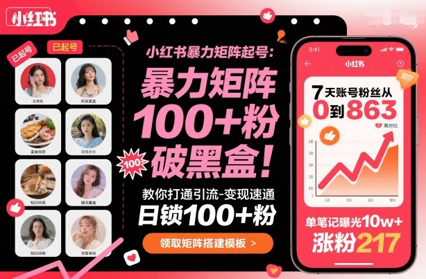 小红书暴力矩阵起号，教你打通引流-变现速通，日锁100+粉，破流量黑盒-linxinghc