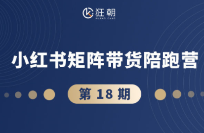 盗坤·抖音小红书视频号短视频带货与直播变现(11-18期)-linxinghc