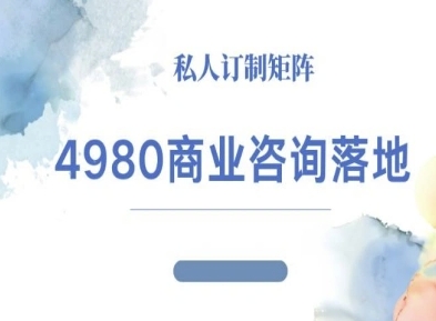 4980商业咨询师落地课程-ip运营高客单教程-linxinghc