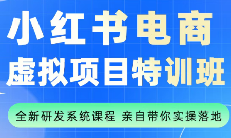 陆明明·小红书虚拟项目特训班(更新9月)-linxinghc