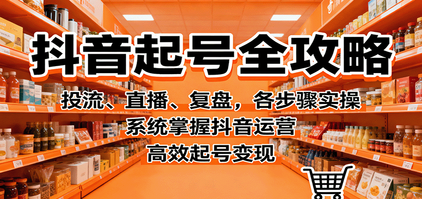 抖音起号全攻略，投流、直播、复盘，各步骤实操，系统掌握抖音运营，高效起号变现-linxinghc
